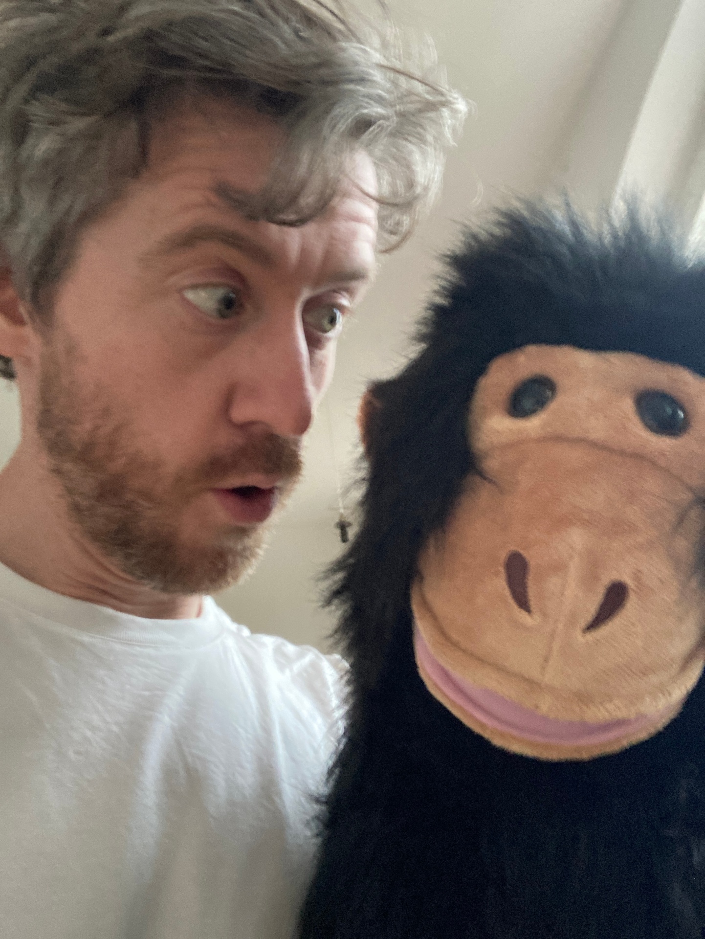 A surprised look exchanged with a soft toy monkey